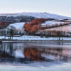 Отель Charming 1-bed Apartment in Isle of Bute, фото 19