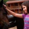 Отель The Ranch Kids Camp, фото 7