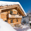 Отель Chalet Steinbock, фото 1
