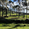 Отель Cabana Pequeno Bosque Com Vista - o Rio, à 15 km da cidade, фото 35