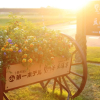 Отель Tokachigawa Onsen Daiichi Hotel Hoshutei Toyotei, фото 32