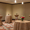Отель Hilton Garden Inn El Paso / University, фото 6
