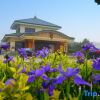 Отель Yuwenquan Hotel, фото 20