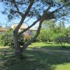 Отель La Garrigue des Alpilles, фото 11