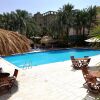 Отель Aqaba Gulf Hotel, фото 11