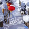 Отель Xiaowei Inn, фото 10
