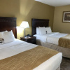 Отель comfort inn, фото 5