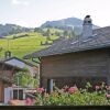 Отель Apartment Pfander Zweisimmen, фото 14