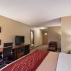 Отель Comfort Inn East, фото 5