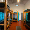 Отель The Birdhouse Backpackers Hostel, фото 12