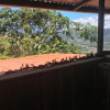 Отель Green Mountain Turrialba, фото 9