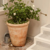 Отель 33 Strawberry Lane, фото 10