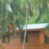 Отель Daintree Rainforest Bungalows, фото 17