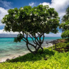 Отель Kuleana Resort 401, фото 15