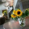 Отель Infinity View Boutique Guesthouse, фото 11