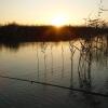 Отель Pfahlbau Rust/Neusiedlersee Sunset I в Русте