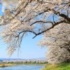 Отель Pacific Hotel Shiroishi, фото 21