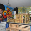 Отель La Clave Hostel, фото 16