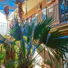Отель Goldfields Hotel Motel, фото 11