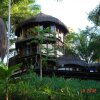 Отель Eco Rainforest House в Итакаре