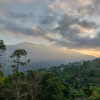 Отель The New Munnar Summer Castle, фото 8