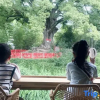 Отель Guzhang Shuiqiao Hostel, фото 8