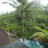 Отель DD Ubud Jungle Villa, фото 20