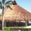 Отель Ocean Club Hotel, фото 4