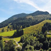 Отель Panorama Landhaus, фото 18