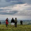 Отель Karen Blixen Camp, фото 9