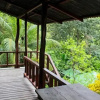 Отель Bromelias Corcovado Hotel y Finca, фото 14