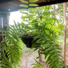 Отель MonSamKien HomeStay, фото 9