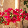 Отель son capellot, фото 15