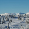 Отель Liatoppen Fjellstue, фото 28