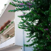 Отель Apartman Daria, фото 1