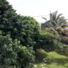 Отель Chambres Bougainvilliers Vue Mer, фото 21