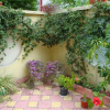 Отель Stela Guest House, фото 2