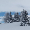 Отель Valloire Studio Marmotte : Nid douillet centre de valloire, été / hiver 4p, фото 8