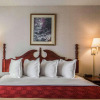 Отель Econo Lodge Inn & Suites, фото 4