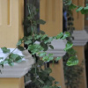 Отель Antik Han Hotel - Special Class, фото 8