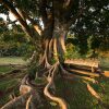 Отель Fazenda Capoava, фото 46