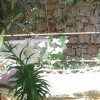 Отель Likya Pansiyon Demre, фото 23