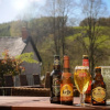 Отель The Mount Inn, фото 3