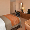 Отель Comfort Inn, фото 15
