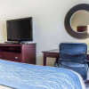 Отель Comfort Inn & Suites Ballpark Area, фото 7