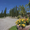 Отель Agriturismo SantAlfredo, фото 12