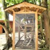 Отель Tiny House in Authentic Japanese Koi Garden in Florida, фото 27