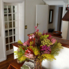 Отель Wild Olive Guest House, фото 24