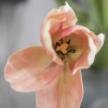 Отель Boet, фото 17