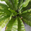Отель Patchy&Ppraw Family, фото 29